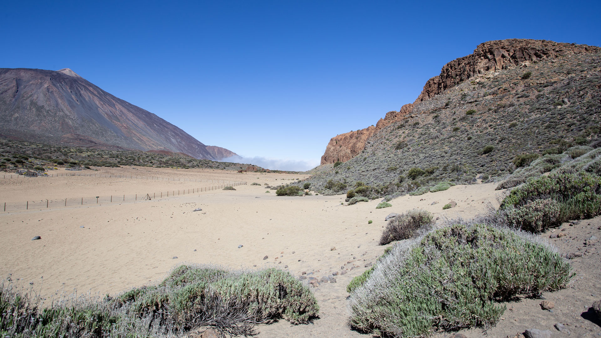 Die einzigartige Caldera de las Cañadas im Teide Nationalpark sunhikes
